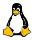2000px-Tux-simple.svg-257x300